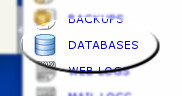 Databases manager link example